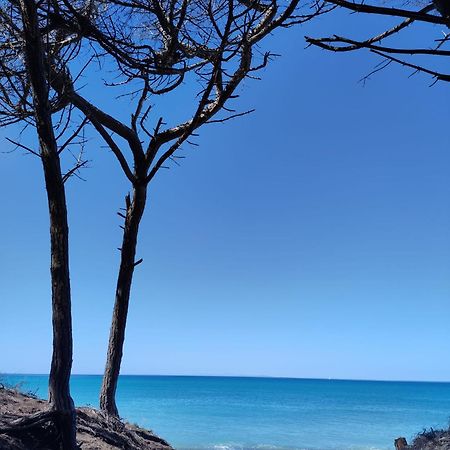 شقة Mare Toscano ريباربيلا المظهر الخارجي الصورة