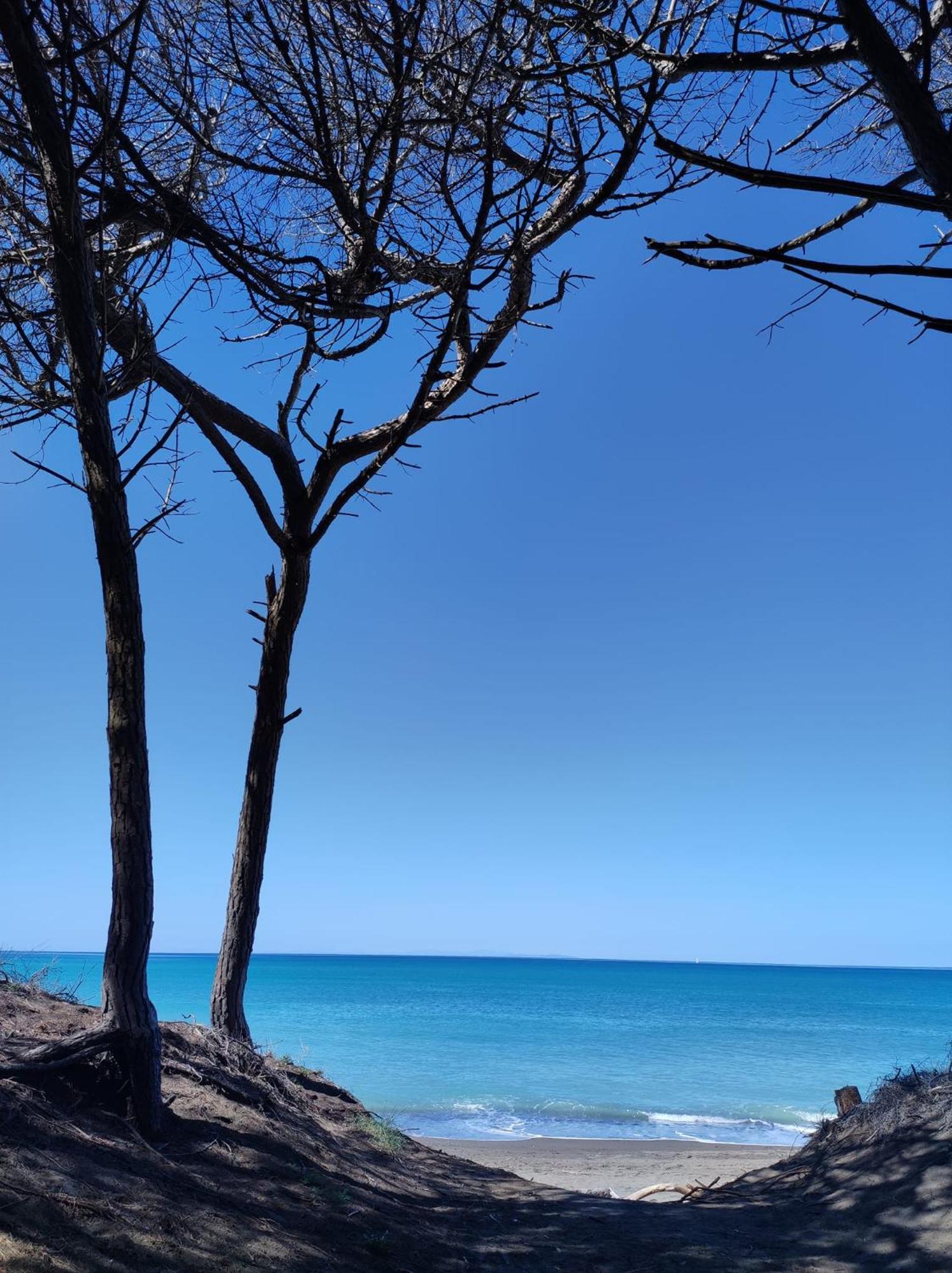 شقة Mare Toscano ريباربيلا المظهر الخارجي الصورة